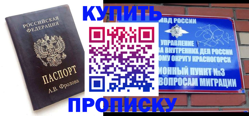 прописка поиск в Сургуте